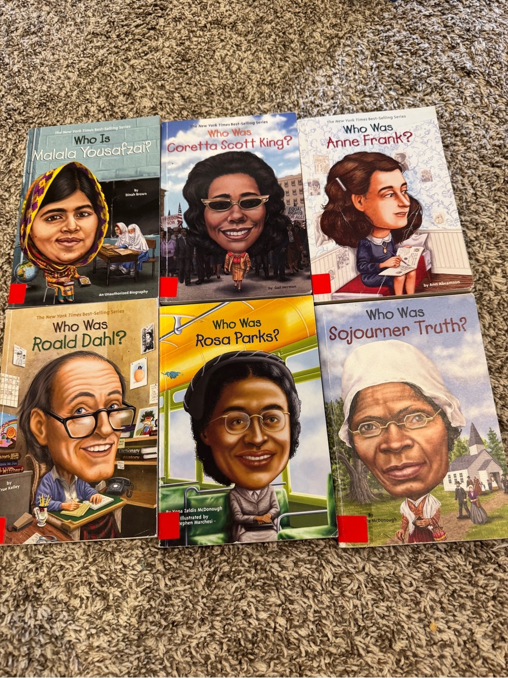 Set of 6 'Who Was/Is' Biography Books - Colorful Illustrated Covers